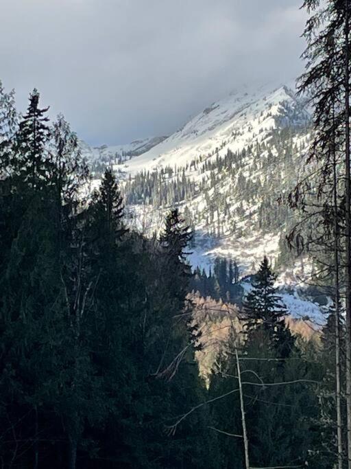 Ski-In Chalet: Private Hot Tub, Bonus Bunk House Fernie Exterior foto